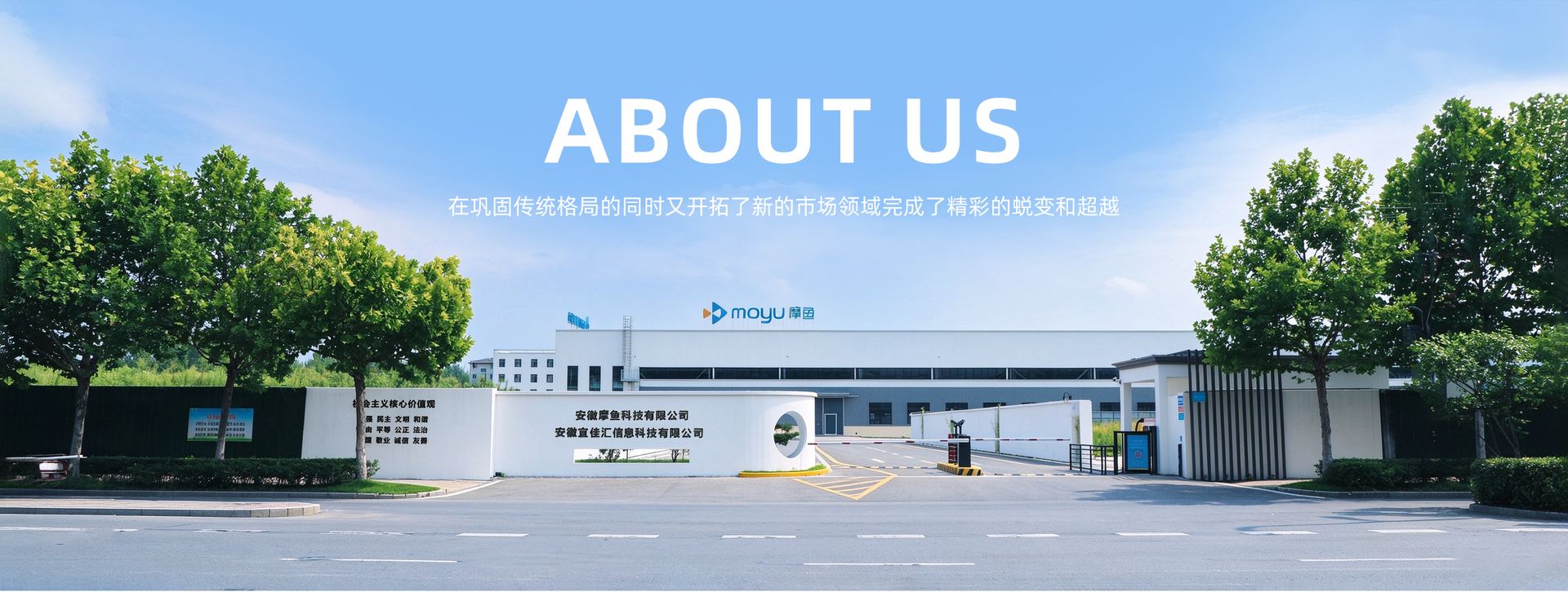 ABOUT US 安徽摩鱼科技